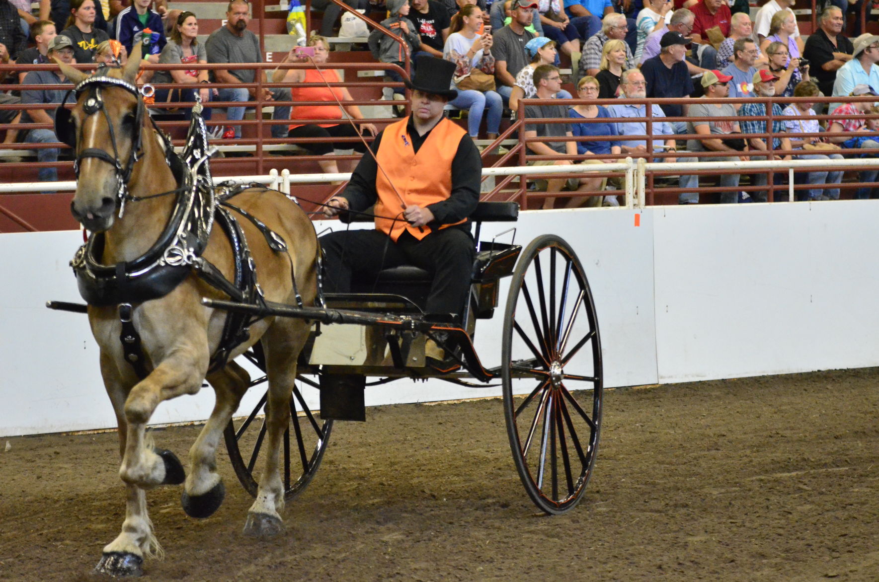 8-25-19 Draft Horse Hitch Final (34).JPG